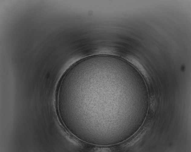 X0000097981043200804011740