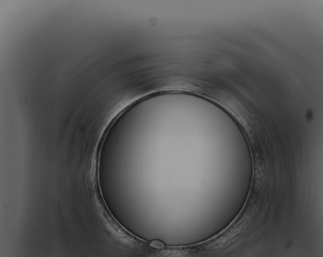 X0000097981044200804011740