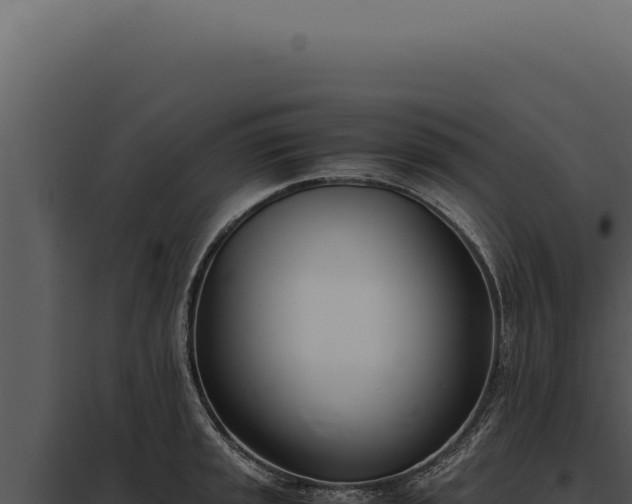 X0000097981045200804011740