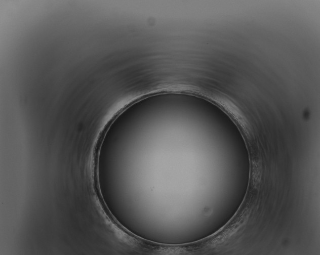 X0000097981046200804011740