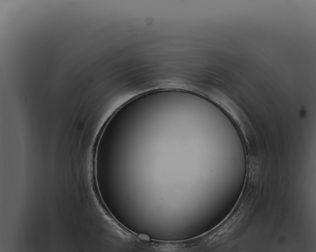 X0000097981048200804011740