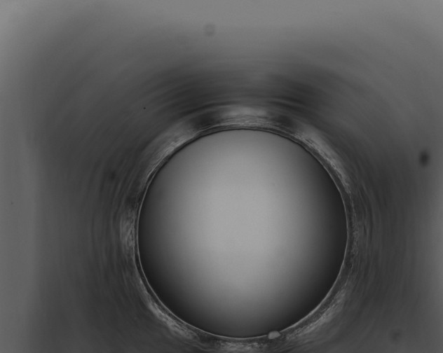 X0000097981049200804011740