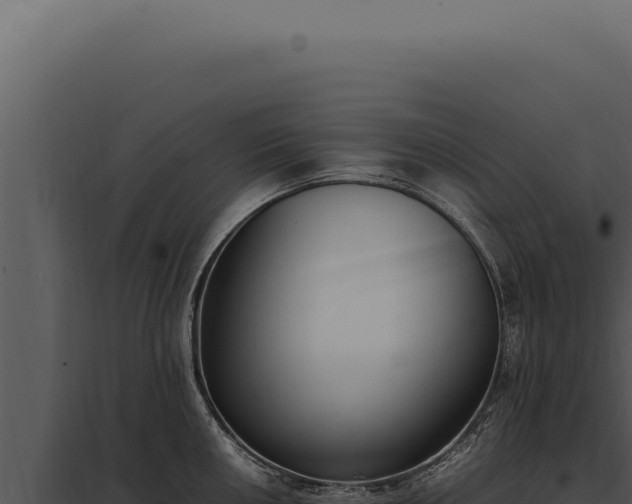 X0000097981050200804011740