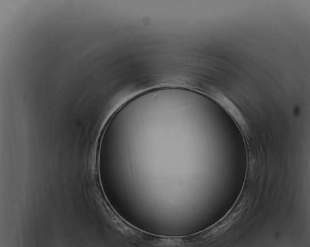 X0000097981052200804011740