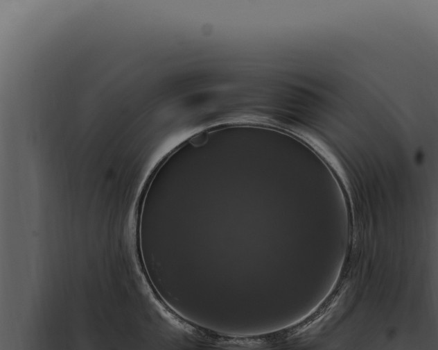 X0000097981053200804011740