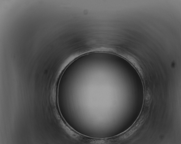 X0000097981054200804011740