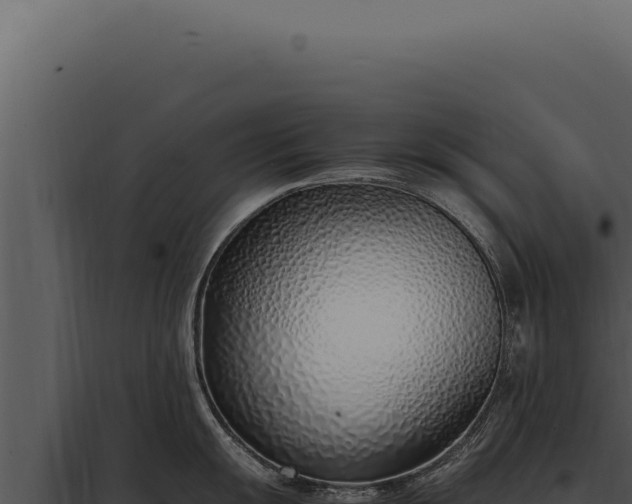 X0000097981055200804011740