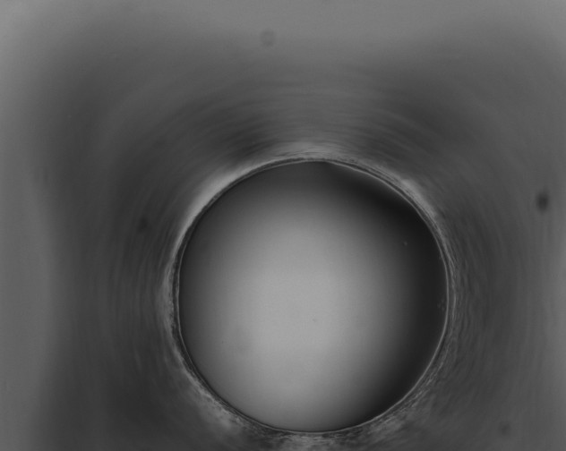 X0000097981056200804011740
