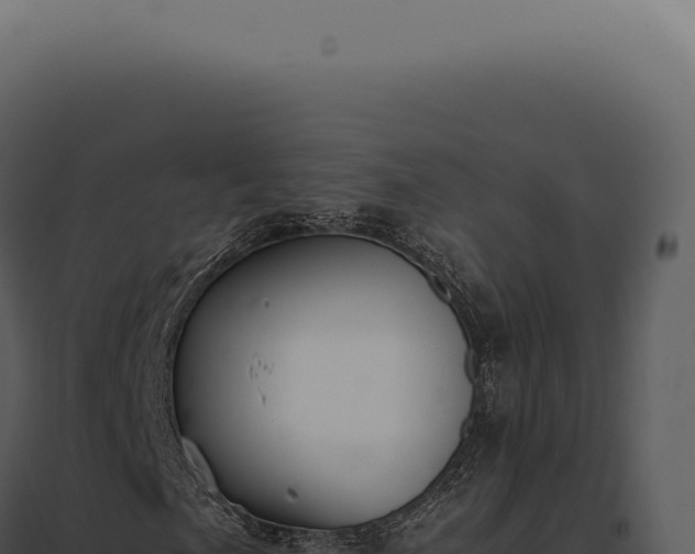 X0000097981057200804011739