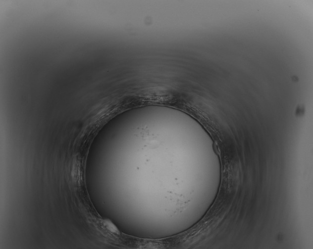 X0000097981058200804011739