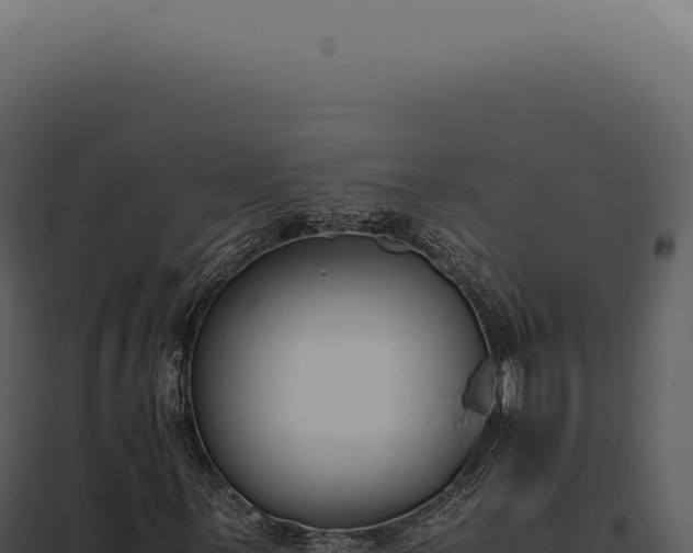 X0000097981059200804011739