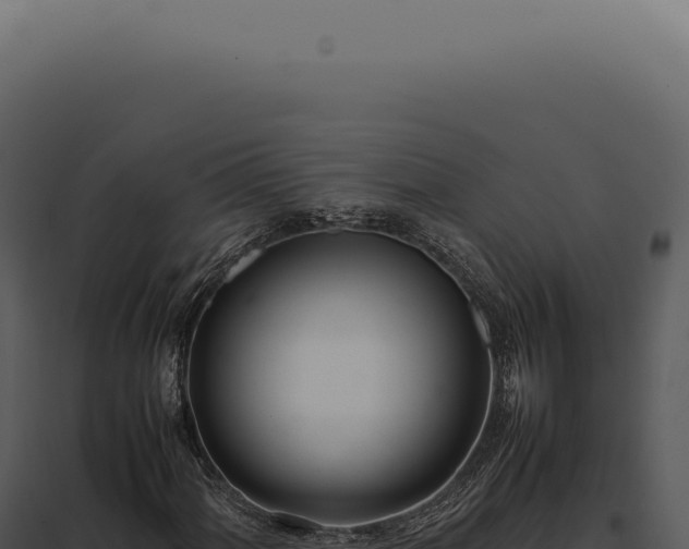 X0000097981060200804011739