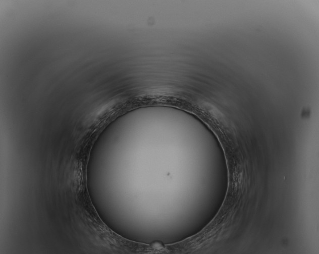 X0000097981062200804011739