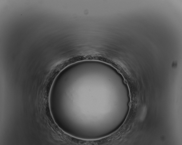 X0000097981063200804011739