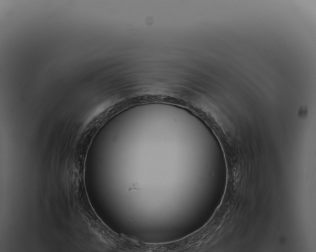 X0000097981064200804011739