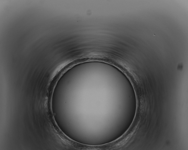 X0000097981066200804011739