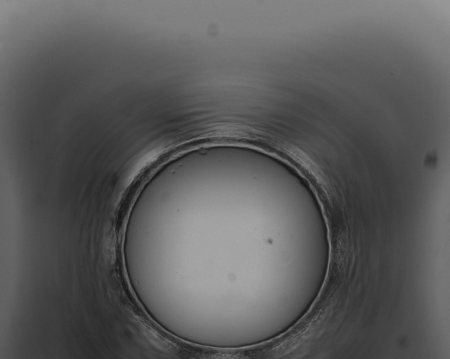 X0000097981067200804011739