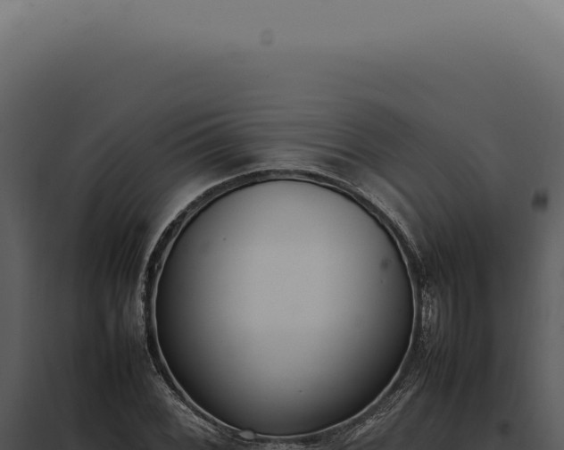 X0000097981068200804011739