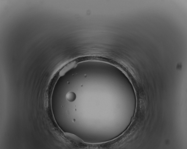 X0000097981069200804011739