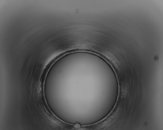 X0000097981070200804011739