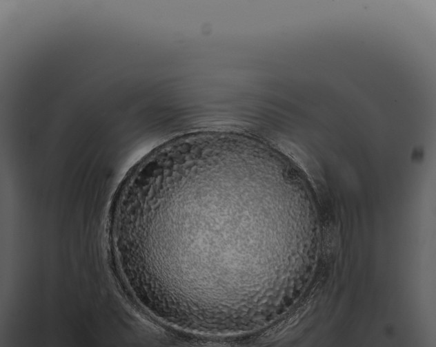 X0000097981071200804011739