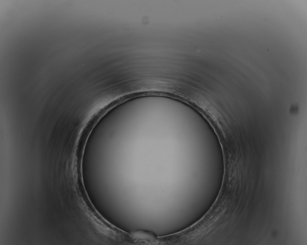 X0000097981072200804011739