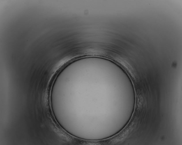 X0000097981074200804011739