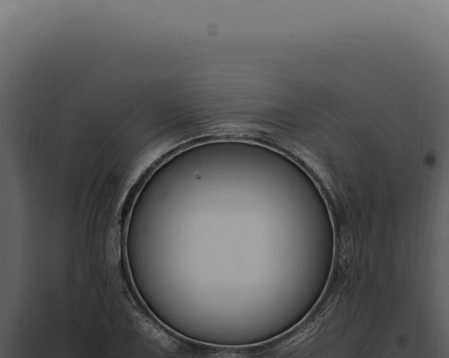X0000097981075200804011739