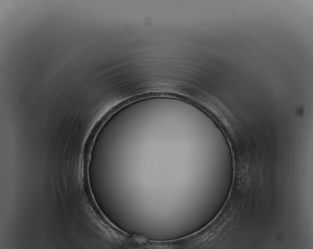X0000097981076200804011739