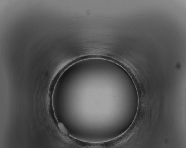 X0000097981077200804011739