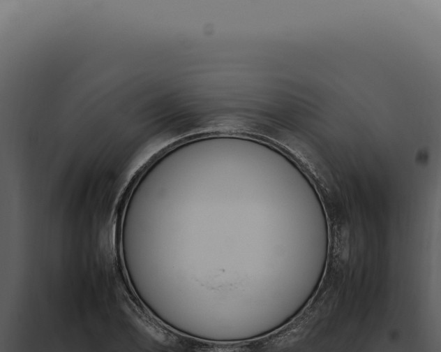 X0000097981078200804011739