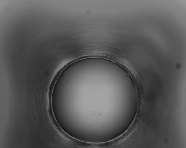 X0000097981079200804011739