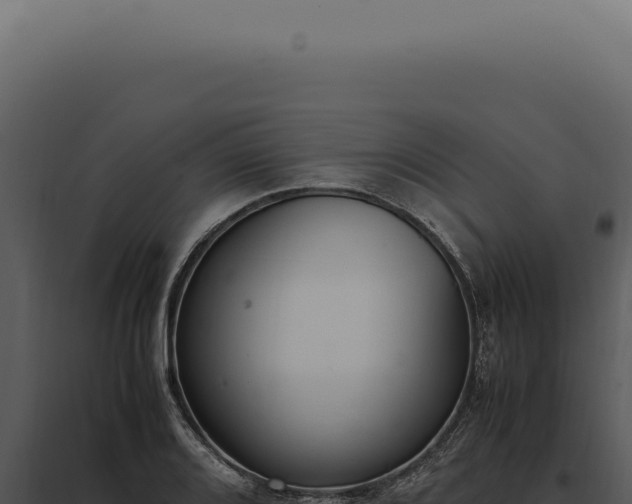 X0000097981080200804011739