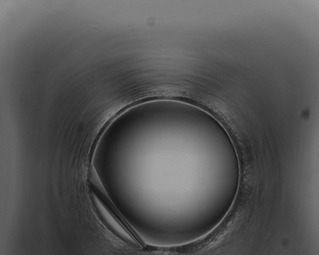 X0000097981081200804011739