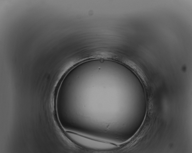 X0000097981083200804011739