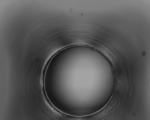 X0000097981084200804011739