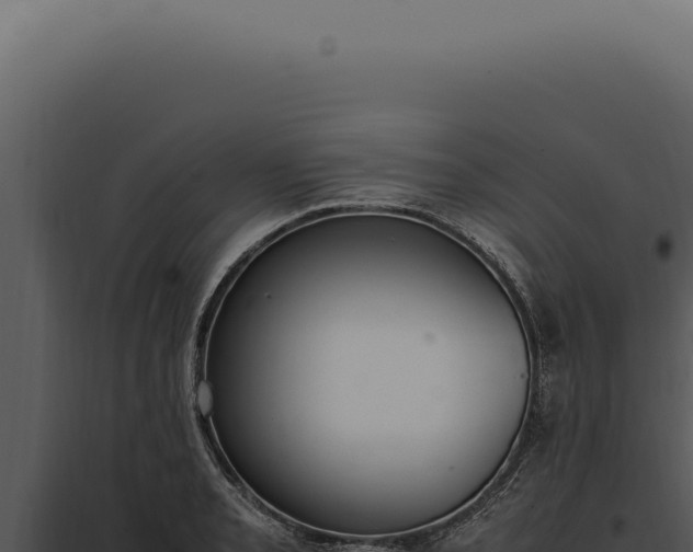 X0000097981085200804011739