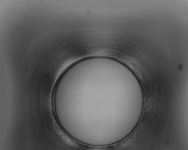 X0000097981086200804011739