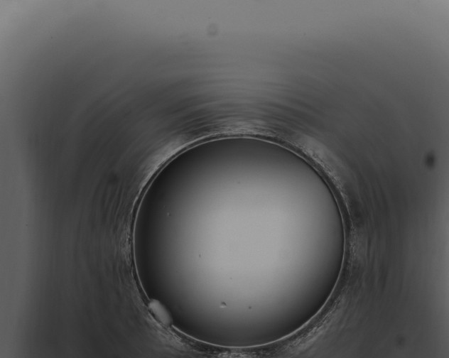 X0000097981089200804011739