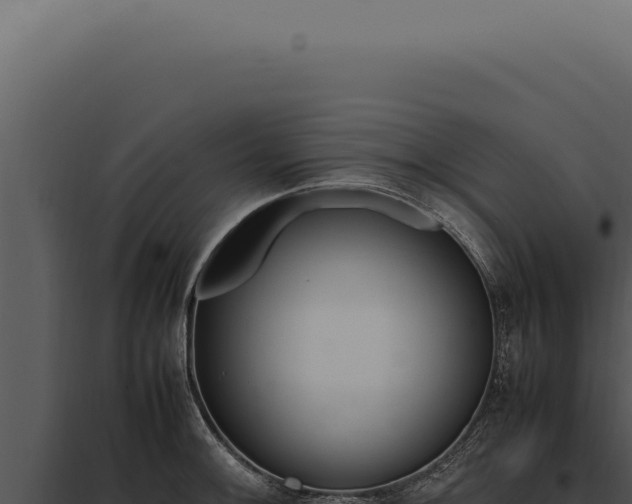 X0000097981092200804011739