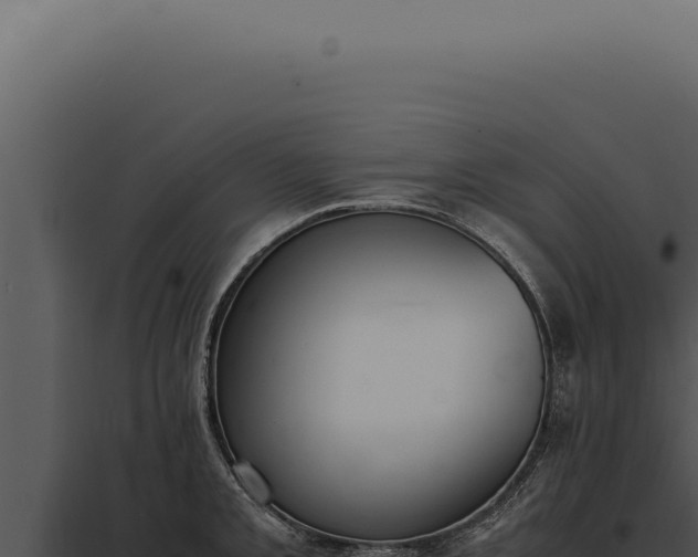 X0000097981093200804011739