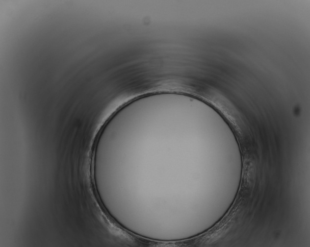 X0000097981094200804011739