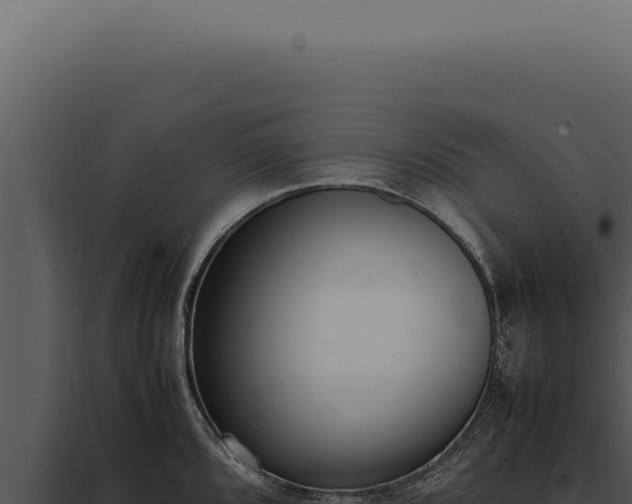 X0000097981096200804011739