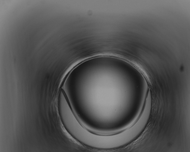 X0000097981100200804011739