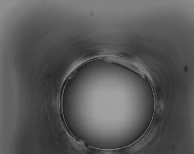 X0000097981101200804011739