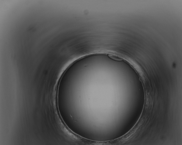 X0000097981102200804011739