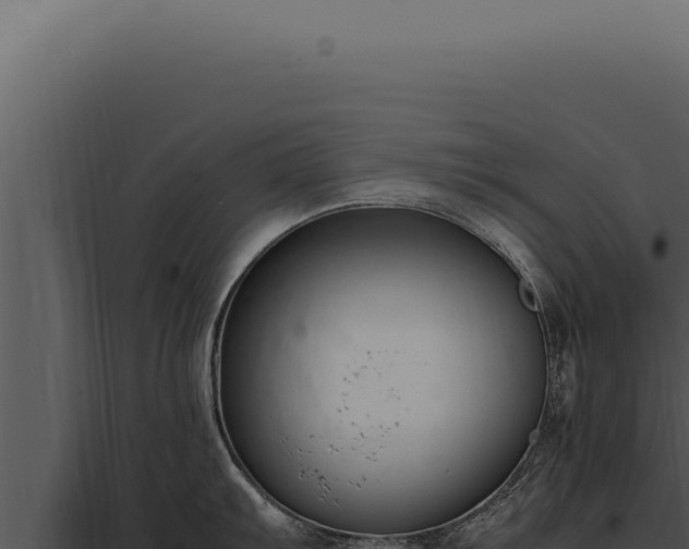 X0000097981103200804011739