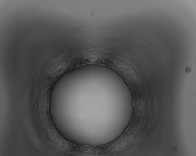 X0000097981105200804011738