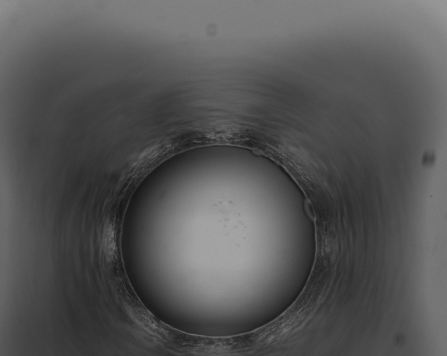 X0000097981106200804011738