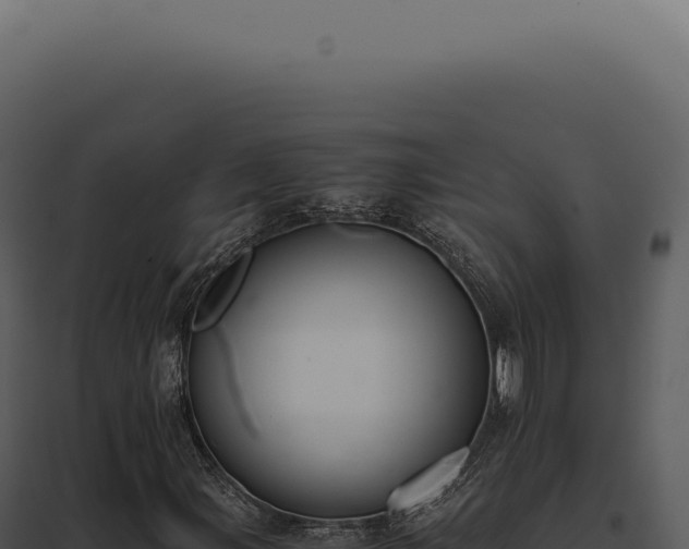 X0000097981107200804011738